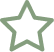 Star icon